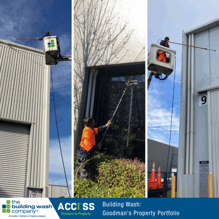 Project Highlight - Goodman